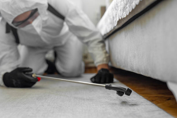 Professional Pest Control technician working in Franklin County County, VT